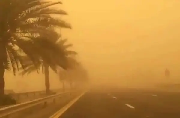 العاصفة الرملية تضرب محافظات مصر بقوة اليوم.. الأرصاد تحذر والمواطنون يترقبون تحسّن الأحوال الجوية