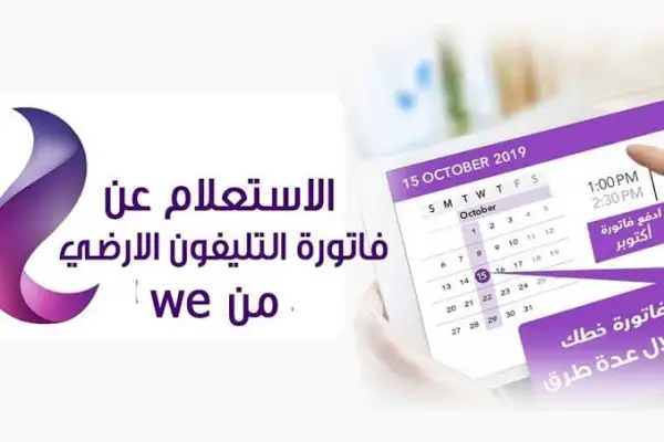 الاستعلام عن فاتورة الإنترنت الأرضي من WE برقم الخدمة 2025 عبر الموقع الرسمي