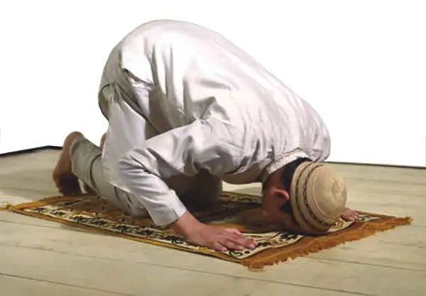 ازاي أصلي صلاة الاستخارة؟ كل ما تحتاج معرفته عن كيفية صلاة الاستخارة ودعائها ونتائجها