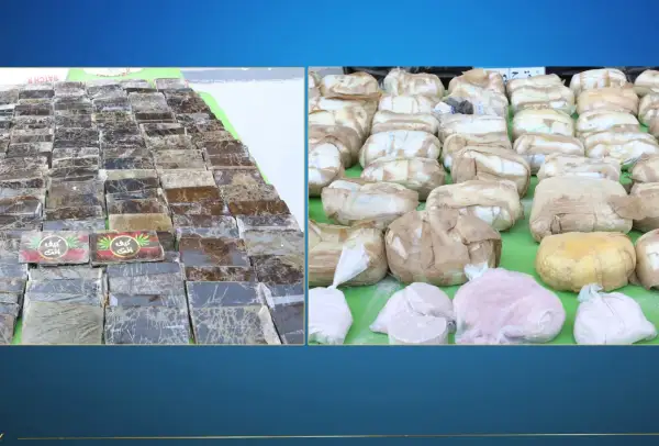 الداخلية تضبط عنصرين شديدي الخطورة بحوزتهما 200 كجم مخدرات وأسلحة نارية بالتجمع الأول