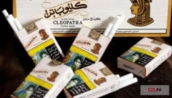 أسعار السجائر اليوم من الشرقية للدخان.. توحيد السعر عند 44 جنيهًا لكل الأنواع
